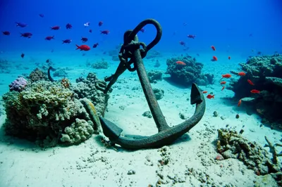 Illustration anchors - Image 2