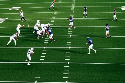 Illustration gridiron - Image 1