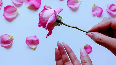 Illustration derogated - Image 1