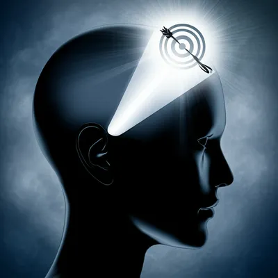 Illustration study - Image 1