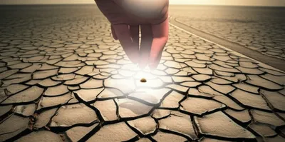 Illustration proffers - Image 1