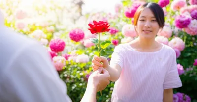 Illustration courting - Image 1