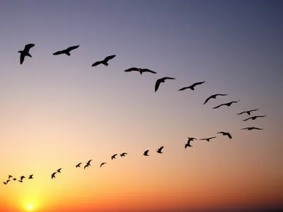 Illustration departs - Image 1