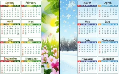 Illustration semiannual - Image 1