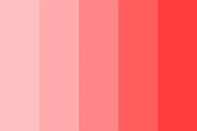 Illustration rose - Image 2