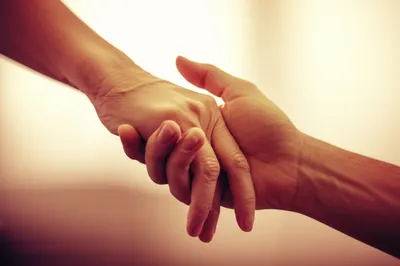 Hình ảnh minh họa sympathy - Ảnh 1