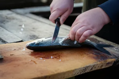 Illustration clean - Image 1