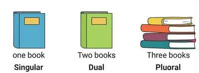 Illustration number - Image 1