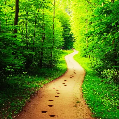 Illustration wend - Image 1