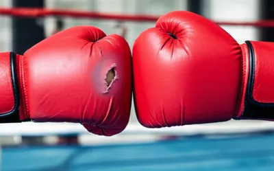 Illustration bruised - Image 1