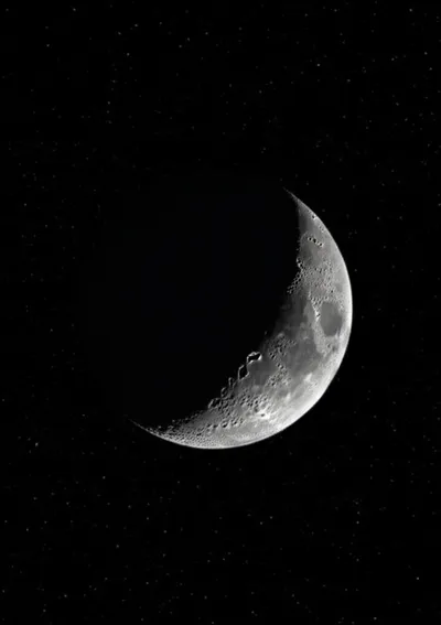 Illustration limbs - Image 1