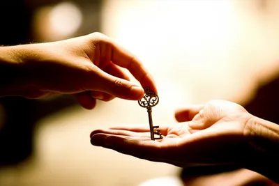 Hình ảnh minh họa appointing - Ảnh 1