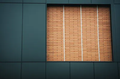 Illustration comps - Image 1