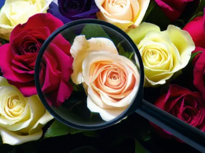 Illustration lack - Image 1