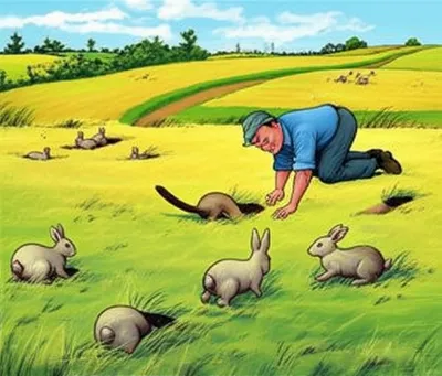 Illustration ferreted - Image 1