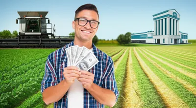 Illustration clearing - Image 1