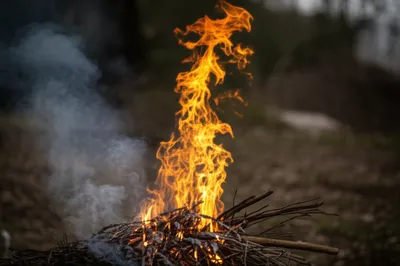 Illustration tinder - Image 1