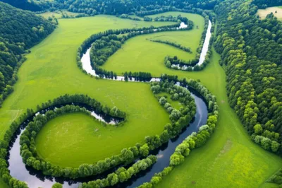 Illustration link - Image 1