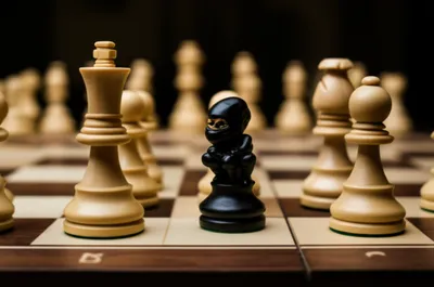 Illustration ninja - Image 1