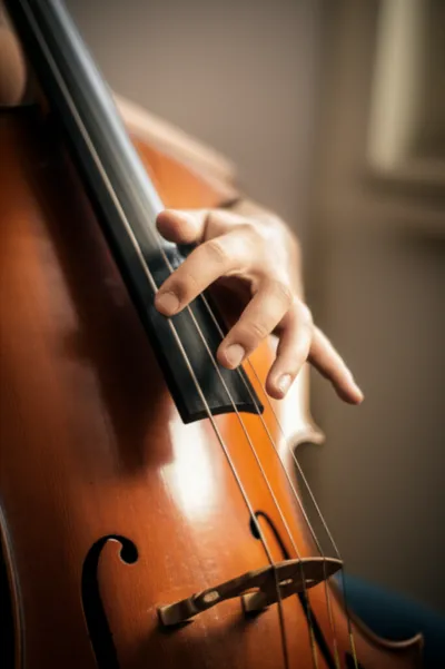 Illustration stopped - Image 1