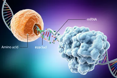 Illustration express - Image 1