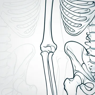 Illustration skeleton - Image 1