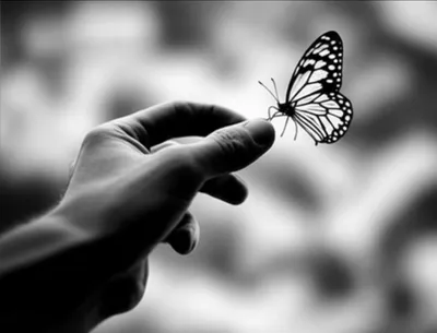 Illustration spiteful