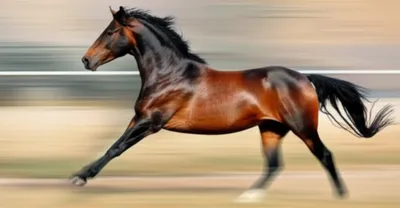 Illustration career - Image 1