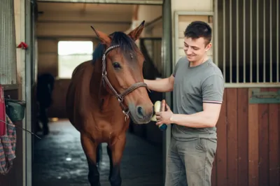 Illustration lad - Image 1