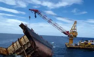 Illustration salvage - Image 2