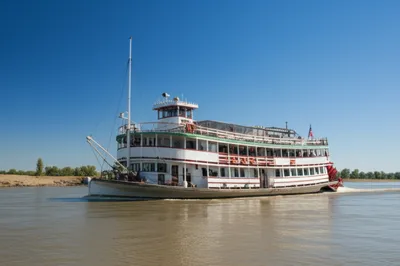 Hình ảnh minh họa paddles - Ảnh 1