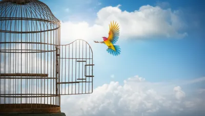 Illustration discharging - Image 1