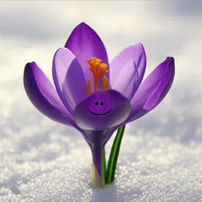 Illustration thaws - Image 1