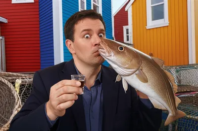 Illustration screeches - Image 1