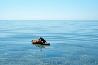 Illustration floater - Image 1