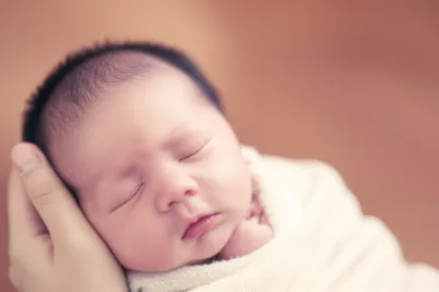 Illustration cradles - Image 1