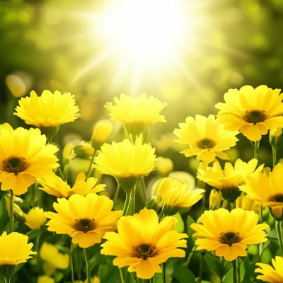 Illustration glorious - Image 1