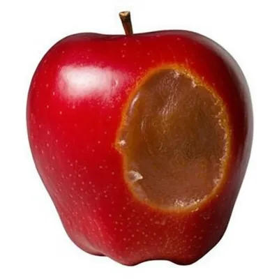 Illustration spoil - Image 1