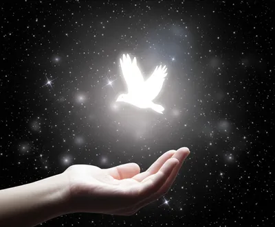 Hình ảnh minh họa returning - Ảnh 1