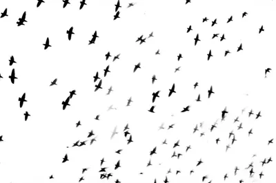 Illustration circulate - Image 1