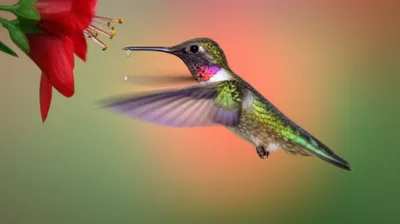 Illustration moment - Image 1