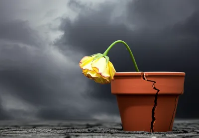 Illustration appalled - Image 1