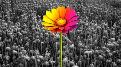 Illustration innovation - Image 1