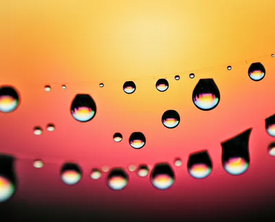 Illustration shining - Image 1