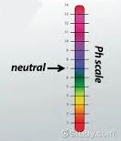 Illustration neutral - Image 4