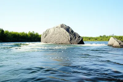 Illustration disturbed - Image 1