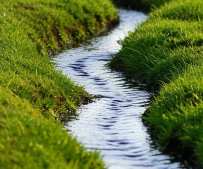 Illustration licks - Image 1