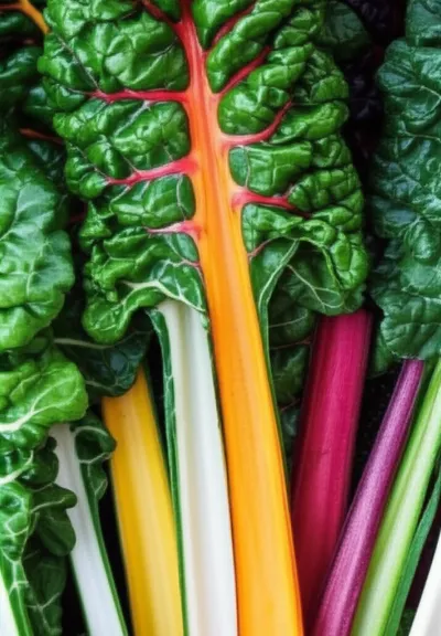 Illustration chard - Image 1