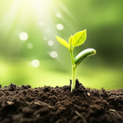 Illustration hopefully - Image 1