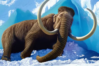 Illustration mummy - Image 1